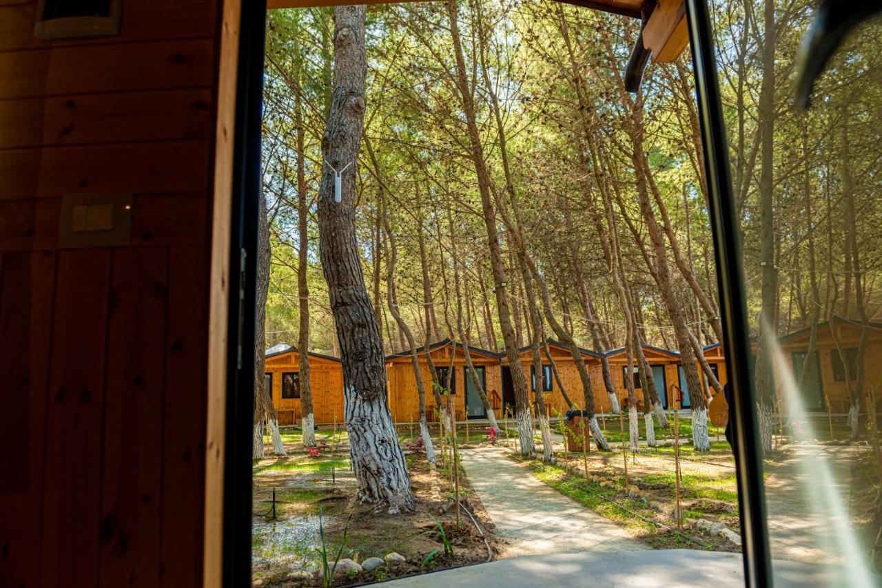 Ecuador Resort Zvernec Bagian luar foto