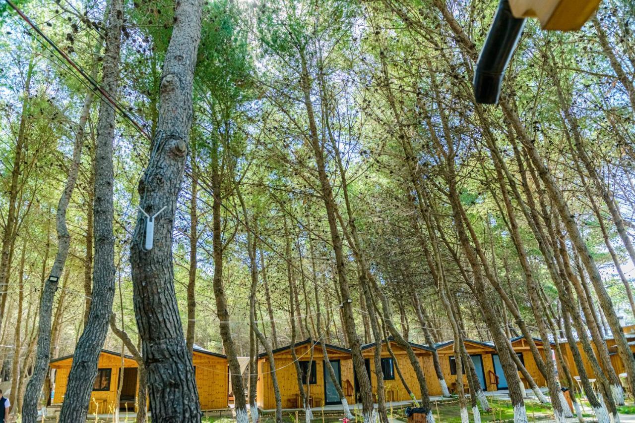 Ecuador Resort Zvernec Bagian luar foto
